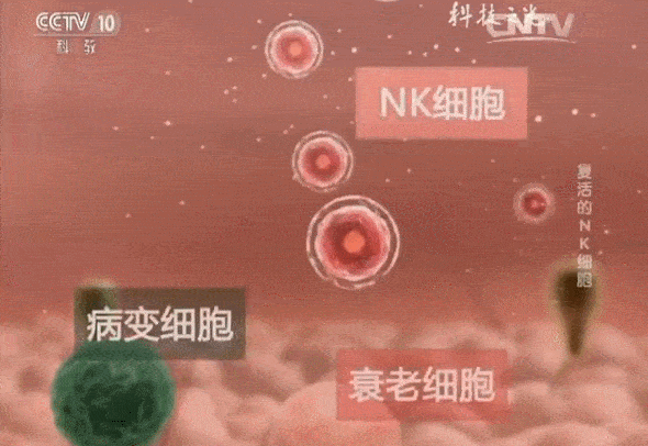微信圖片_20220802164703.gif