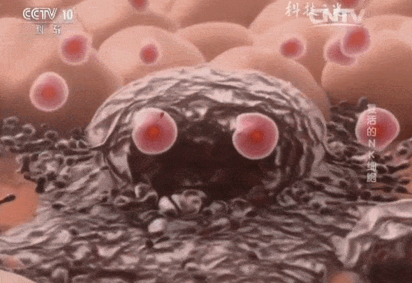 微信圖片_20220802164709.gif