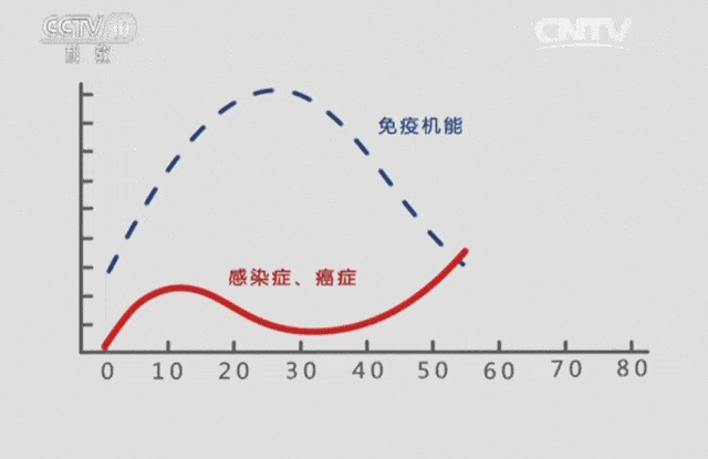 微信圖片_20220802164724.gif