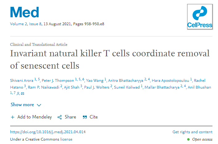 Invariant natural killer T cells coordinate removal of senescent cells_20220504140528.png