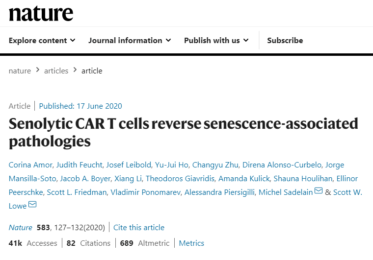 Senolytic CAR T cells reverse senescence-associated pathologies_20220504141200.png