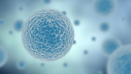 干細胞是如何左右我們的健康？干細胞的五項作用