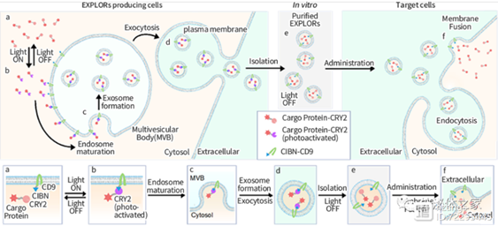 圖表6 EXPLOR?平臺技術.png