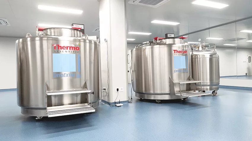 Thermo Fisher液氮罐